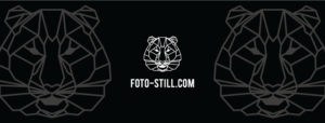 Лого foto-still