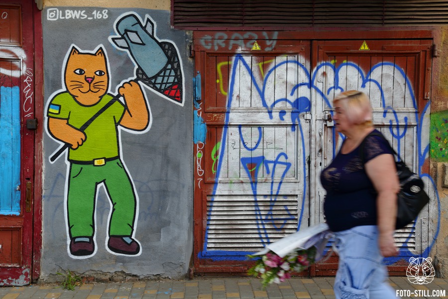 Графіті Кіт ловить ракету сачком LBWS_168