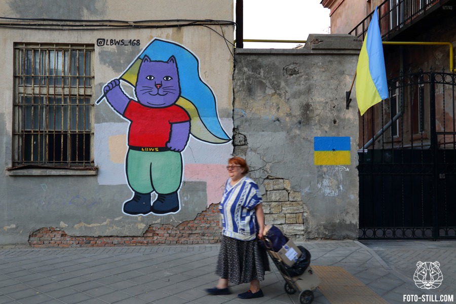 Графіті котик з українським флагом LBWS_168