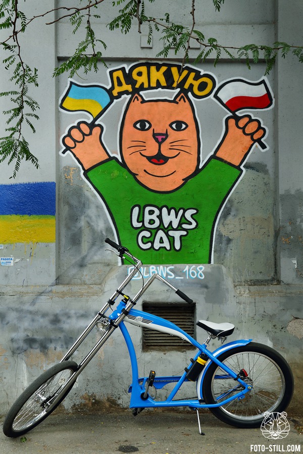Графіті Дякую Польщі LBWS_168